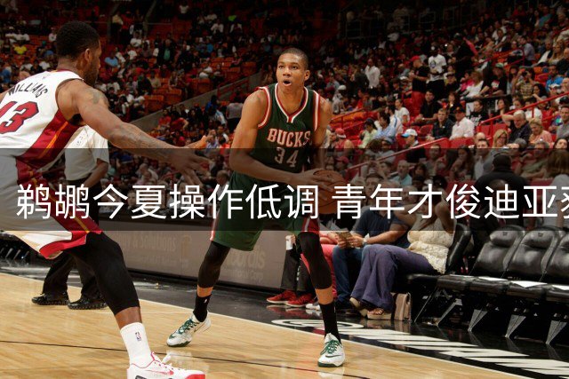 鹈鹕今夏操作低调 青年才俊迪亚获双向合约